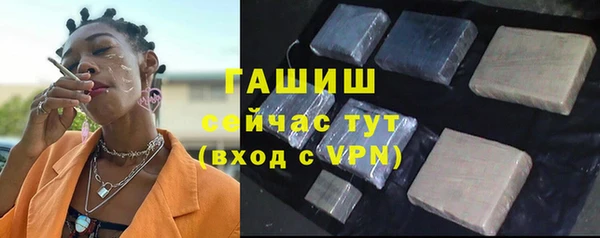 спиды Горняк
