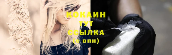 спиды Горняк