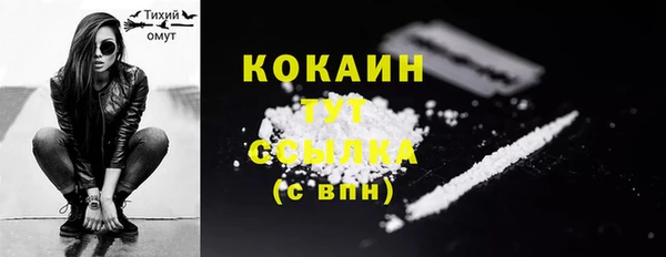прущие грибы Сосновый Бор