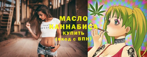спиды Горняк