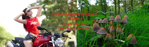 спиды Горняк