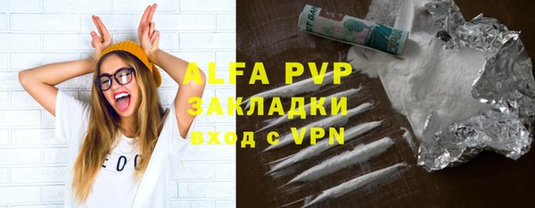 спиды Горняк